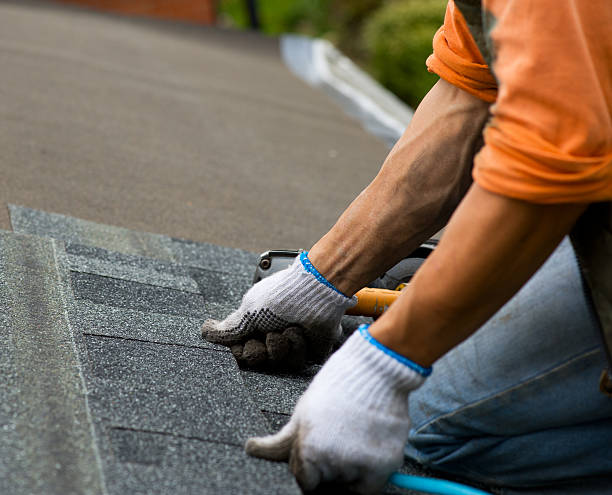 Best Shingle Roofing Installation  in Ranchettes, WY